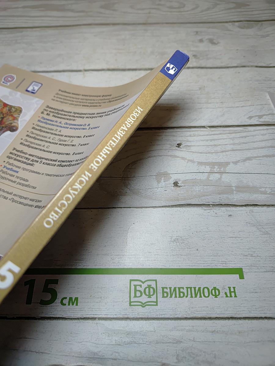 Изобразительное искусство, 5 класс