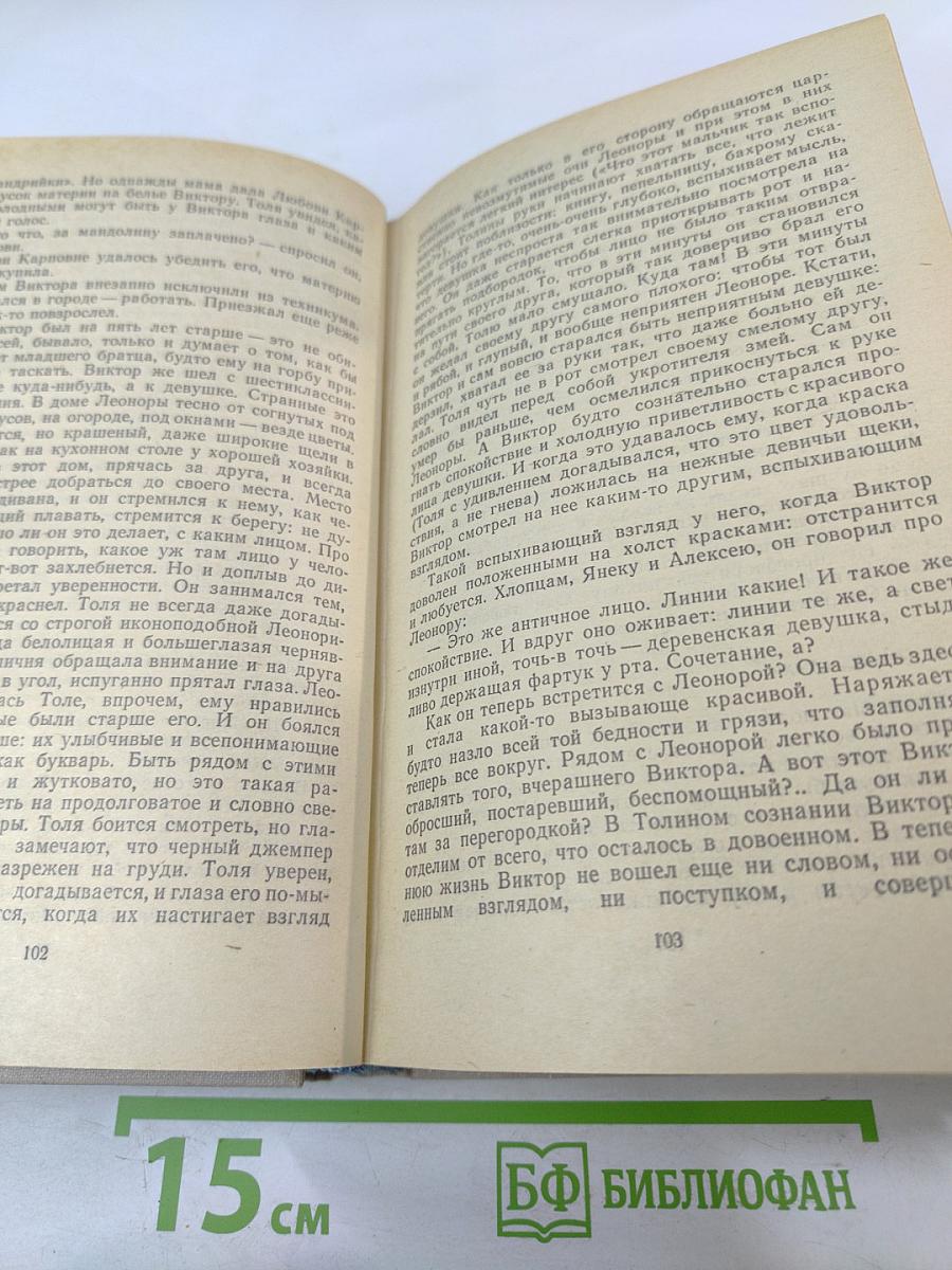 Война под крышами. Сыновья уходят в бой