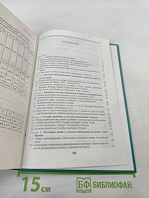 Основы ювенальной юстиции