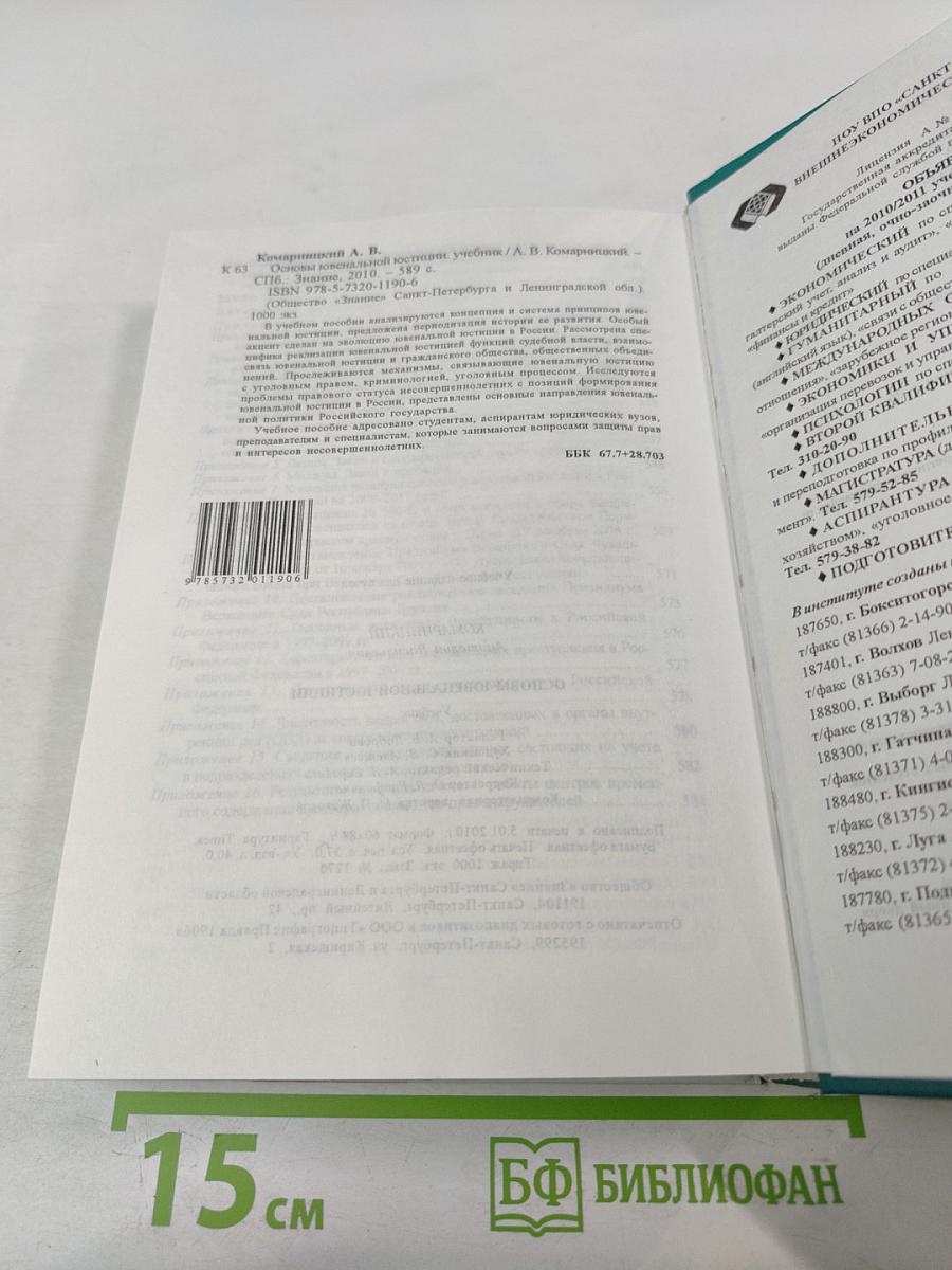 Основы ювенальной юстиции