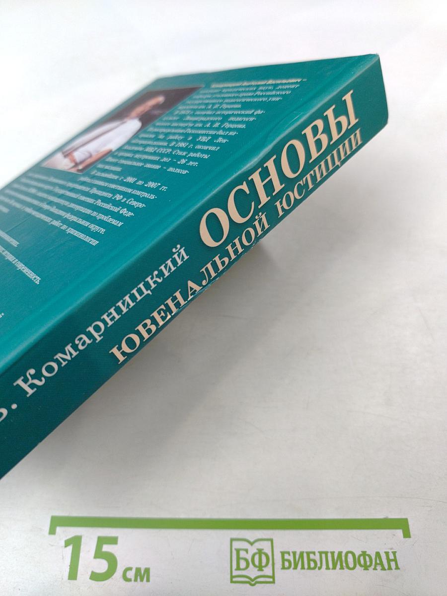 Основы ювенальной юстиции