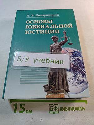 Основы ювенальной юстиции