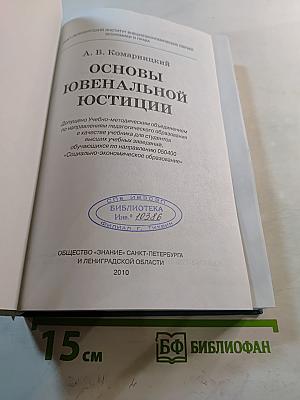 Основы ювенальной юстиции