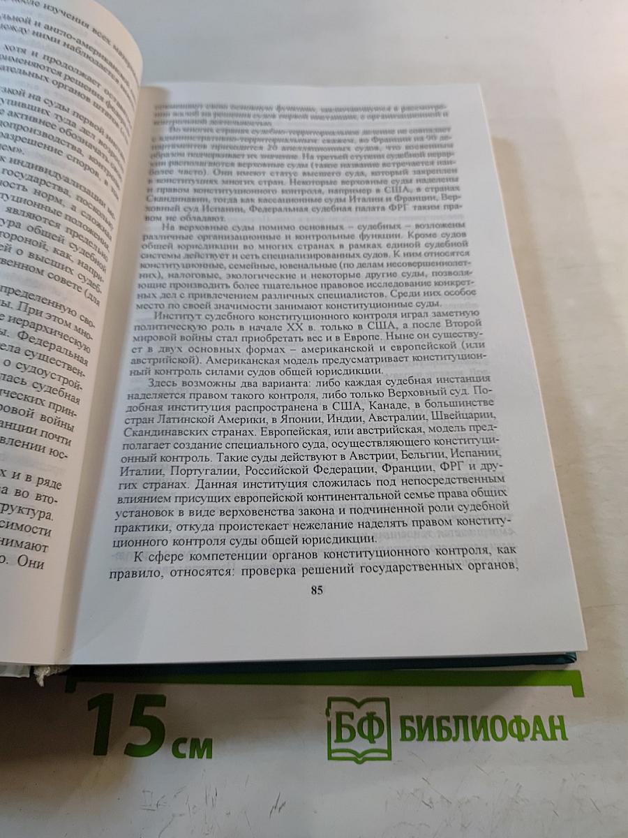 Основы ювенальной юстиции