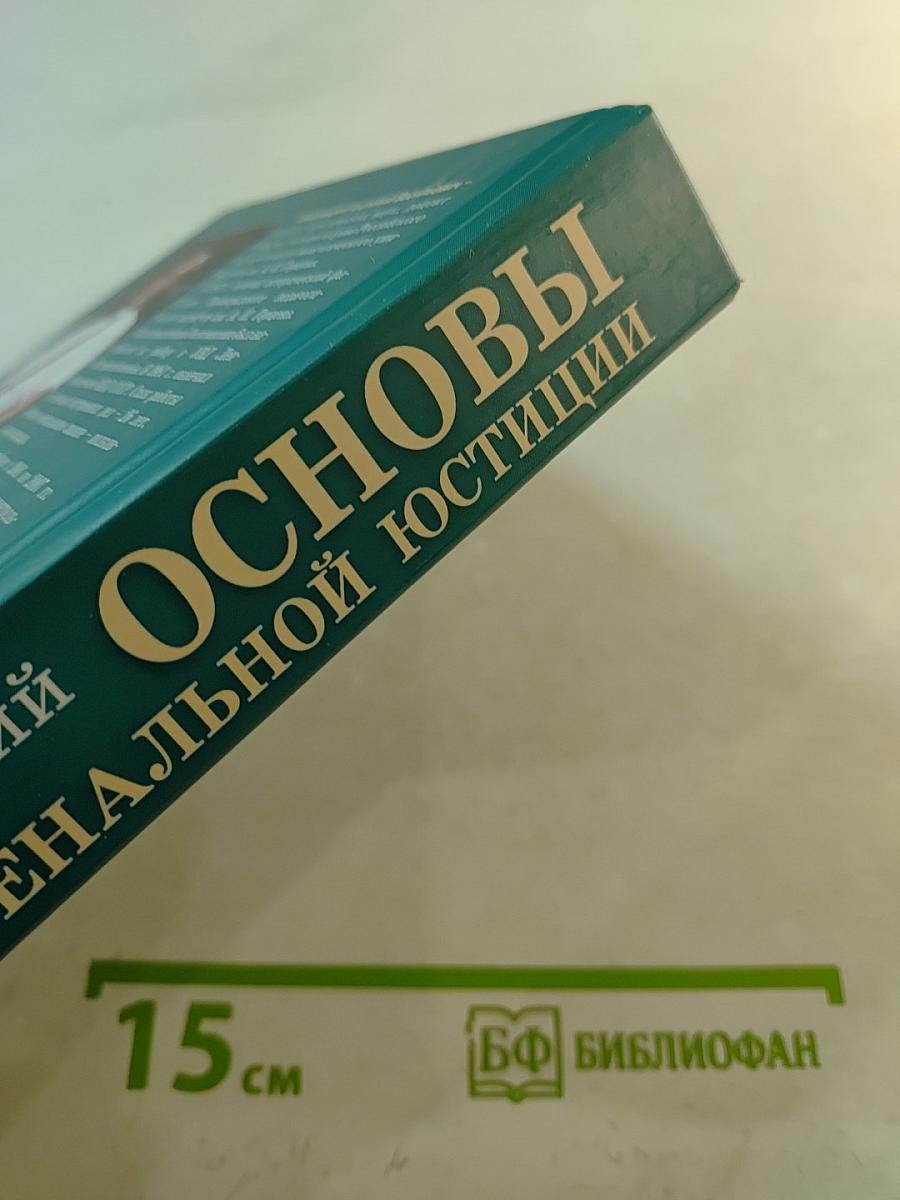 Основы ювенальной юстиции