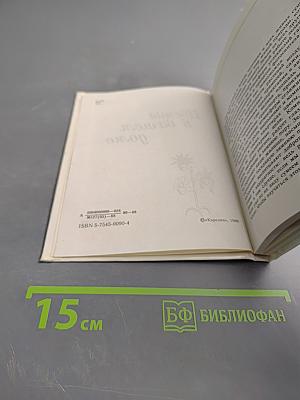 Цветы в вашем доме