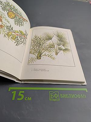 Цветы в вашем доме