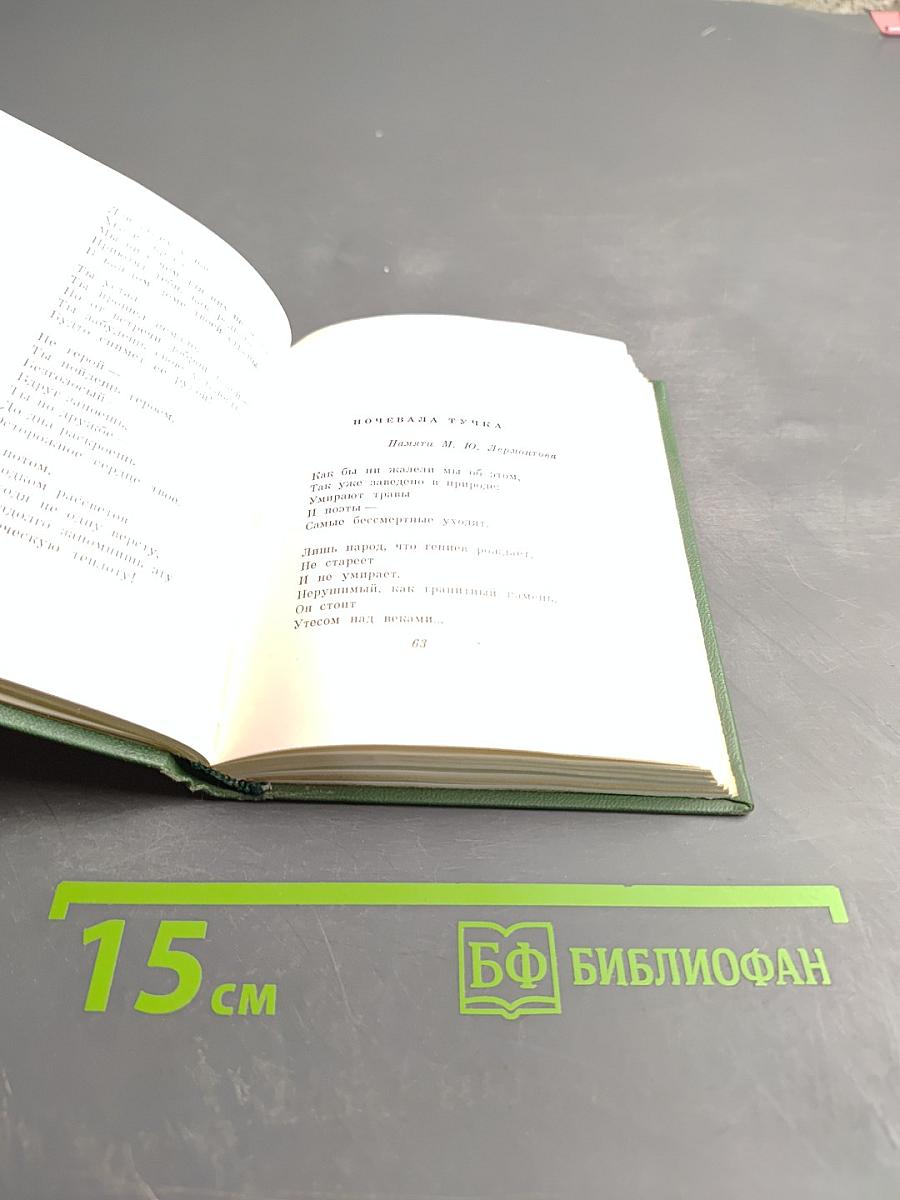 Стихотворения и песни