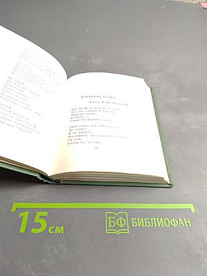 Стихотворения и песни