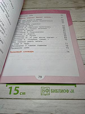 Литературное чтение. 1 класс. Часть 1