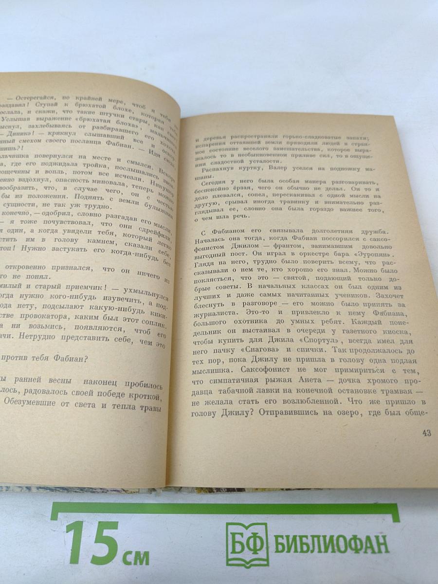 Все ребята хороши, все ребята плохи