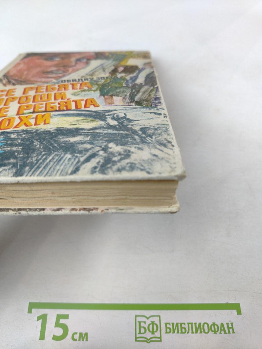 Все ребята хороши, все ребята плохи