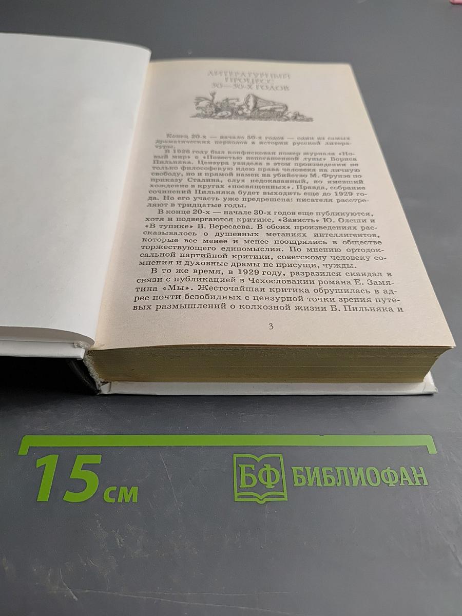 Русская литература XX века 11 класс