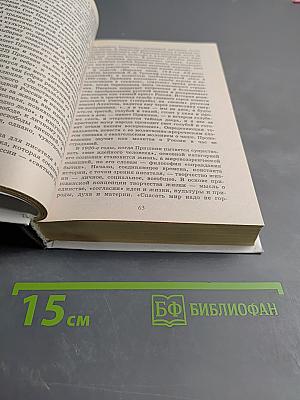 Русская литература XX века 11 класс