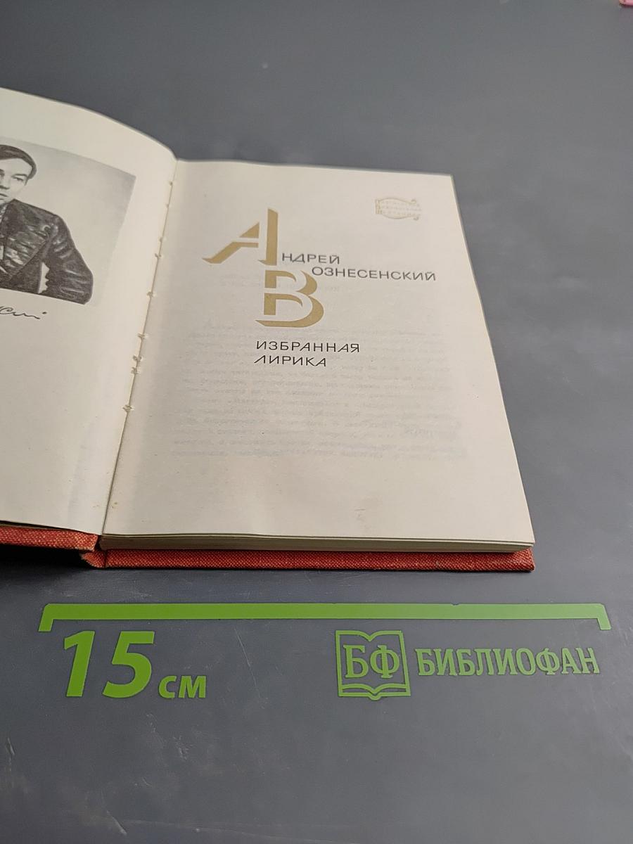 Избранная лирика