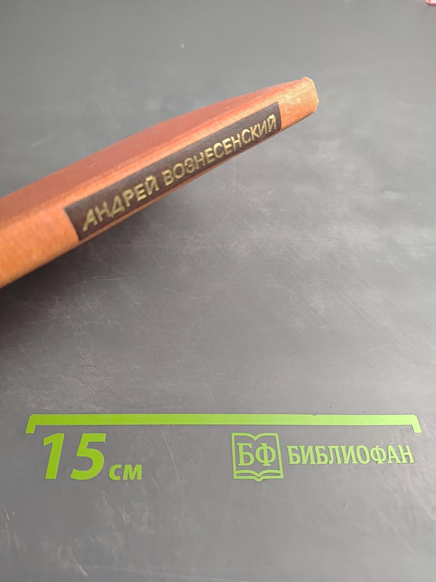 Избранная лирика