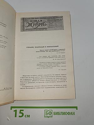 Несвоевременныя мысли. Заметки о революции и культуре.