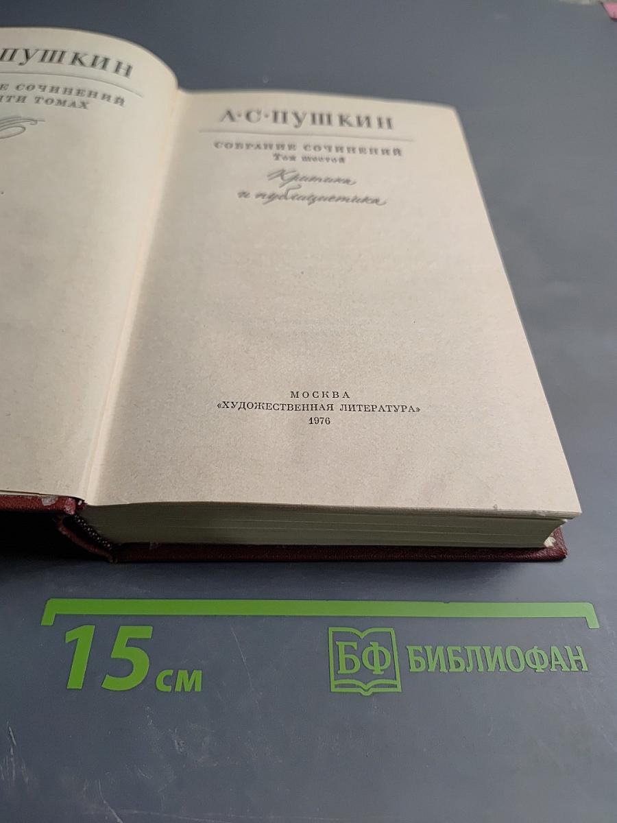 Собрание сочинений в десяти томах. Том шестой: Критика и публицистика