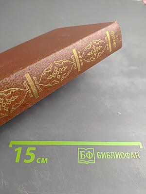 Собрание сочинений в десяти томах. Том шестой: Критика и публицистика