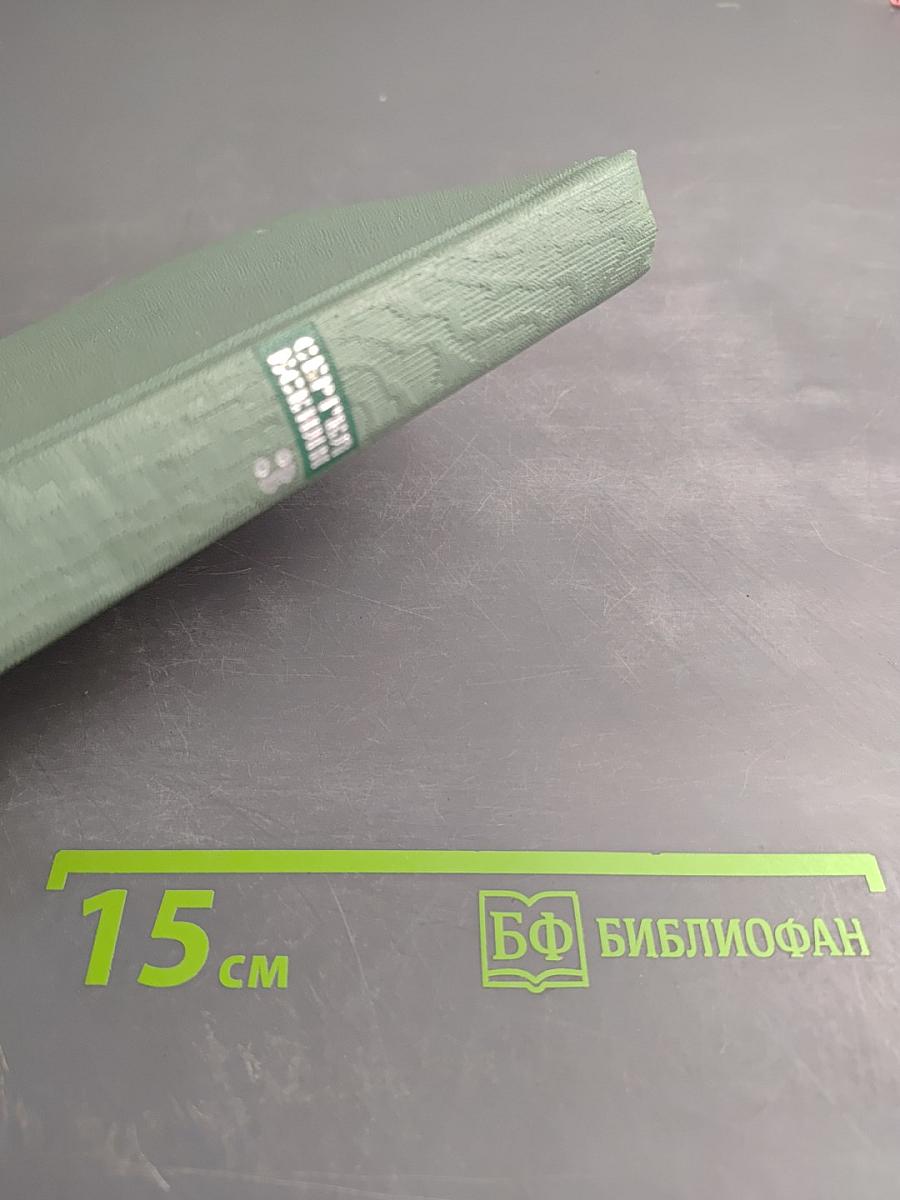 Собрание сочинений. Том третий: Стихотворения и поэмы (1924-1925)