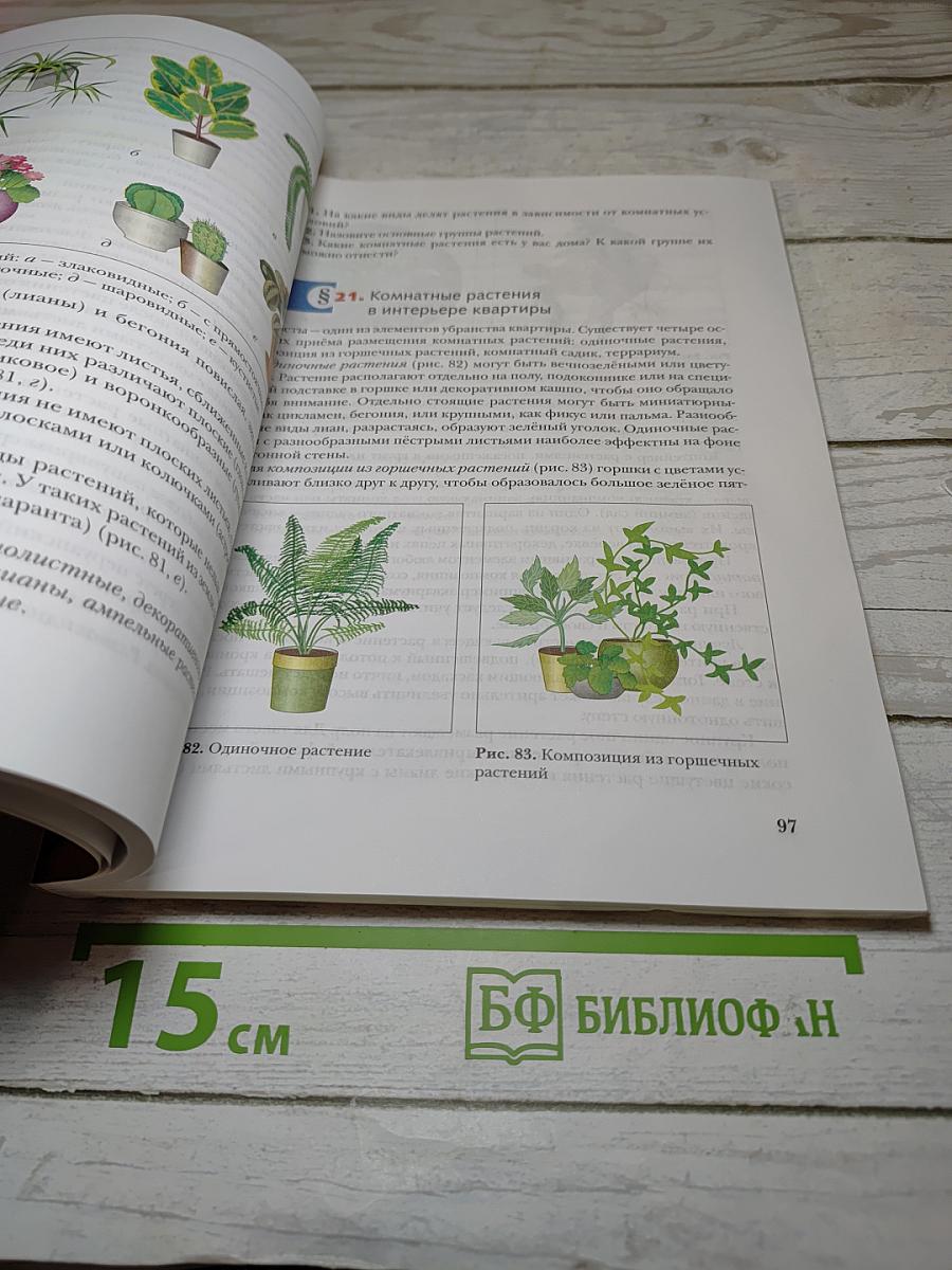 Технология 7 класс