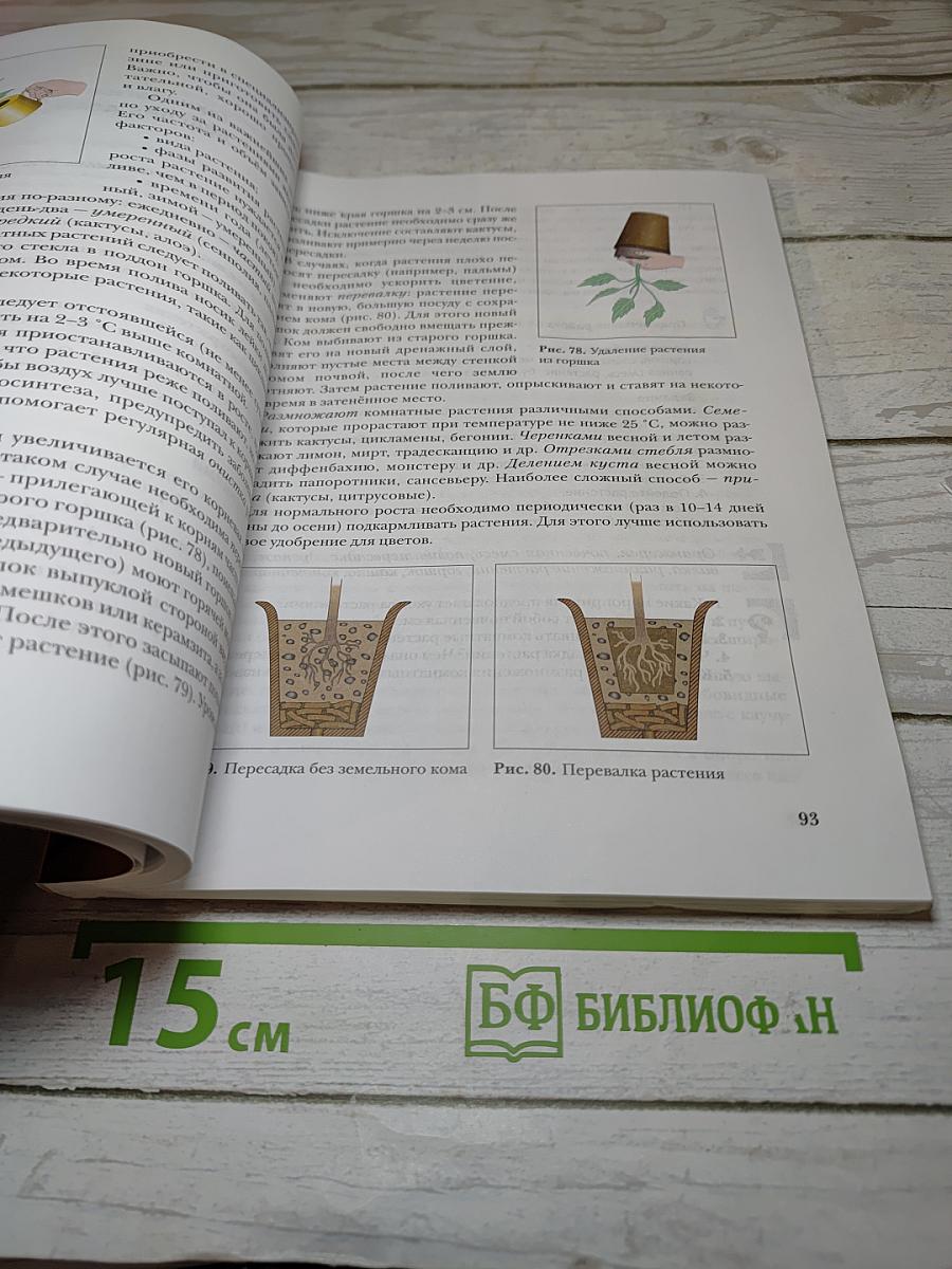 Технология 7 класс