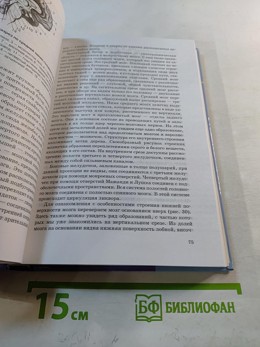 Невропатология. Учебник для вузов