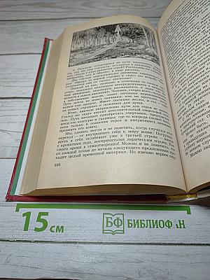 Русская культура и словесность. Для 6 класса. Часть вторая