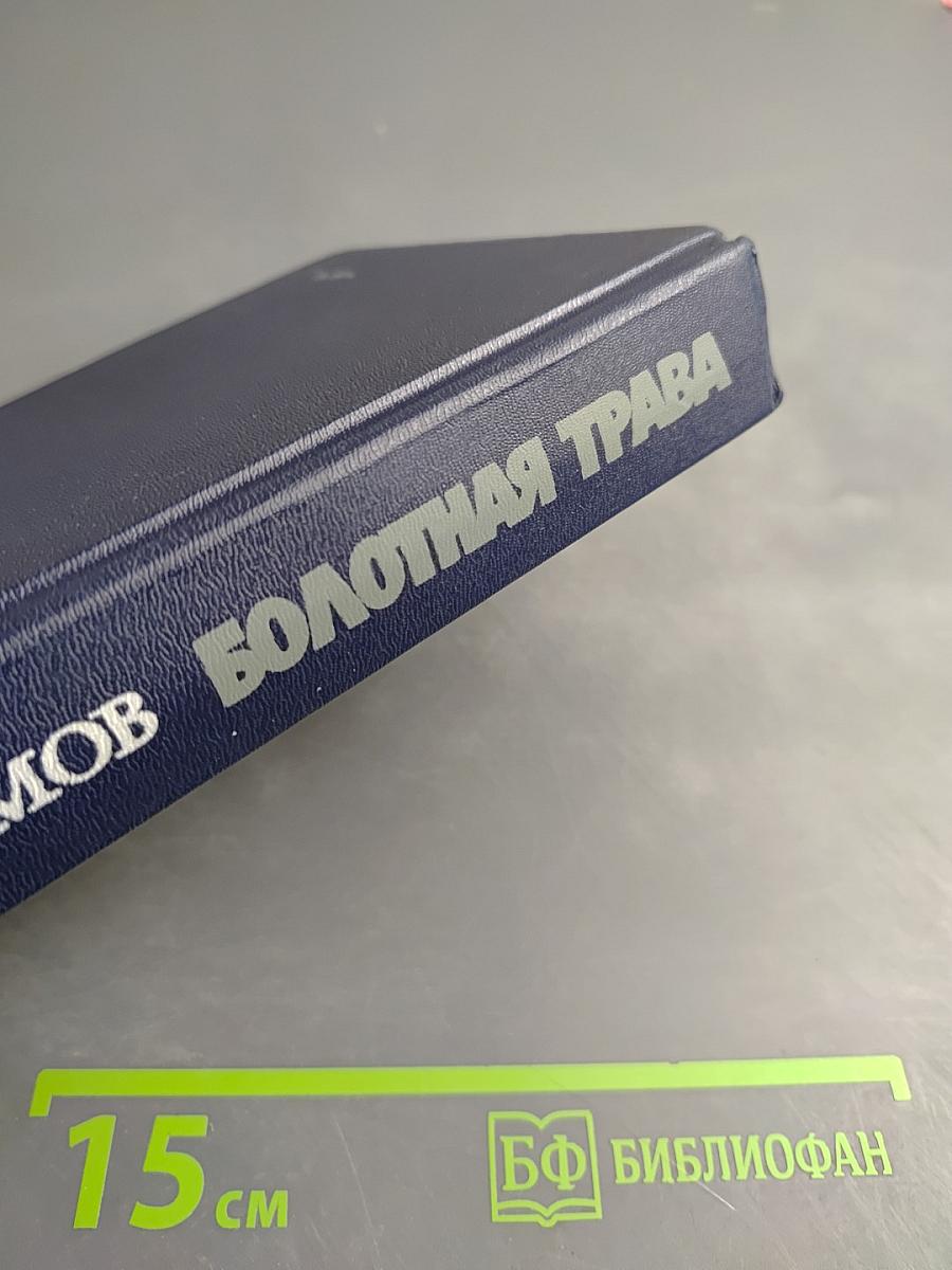 Болотная трава