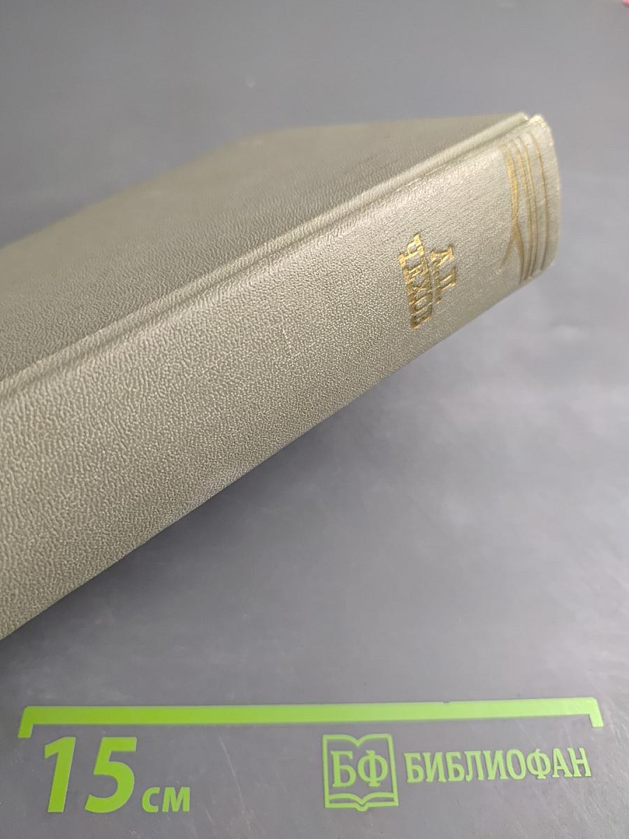 Собрание сочинений. Том Девятый. Пьесы 1880-1904