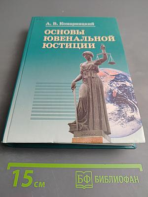 Основы ювенальной юстиции