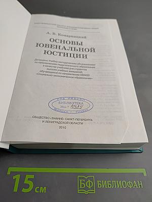 Основы ювенальной юстиции