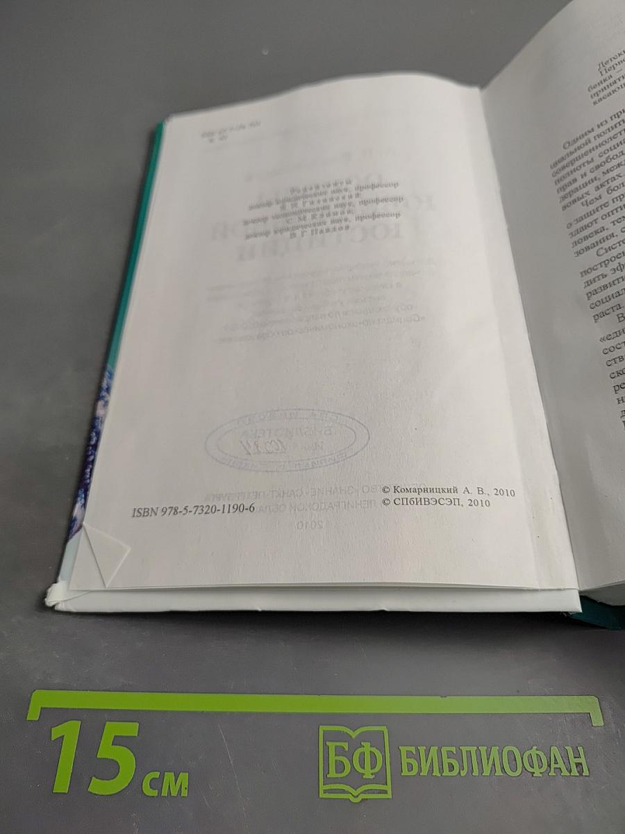 Основы ювенальной юстиции