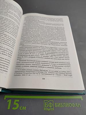 Основы ювенальной юстиции