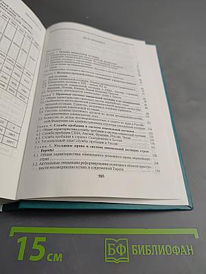 Основы ювенальной юстиции