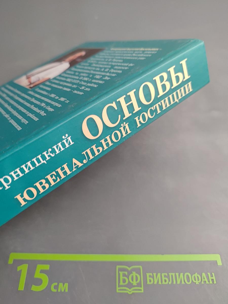 Основы ювенальной юстиции