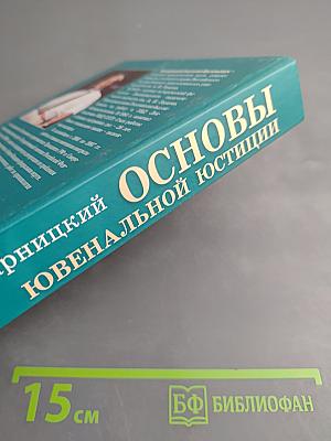 Основы ювенальной юстиции