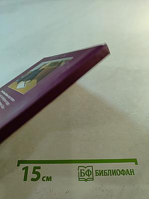 Практика антикризисного управления