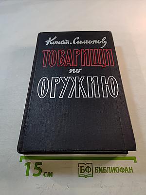 Товарищи по оружию