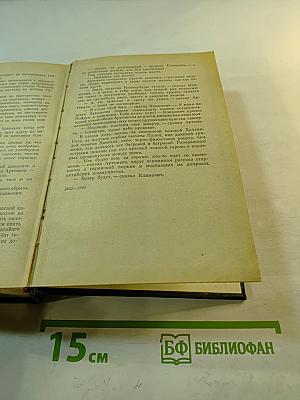 Товарищи по оружию