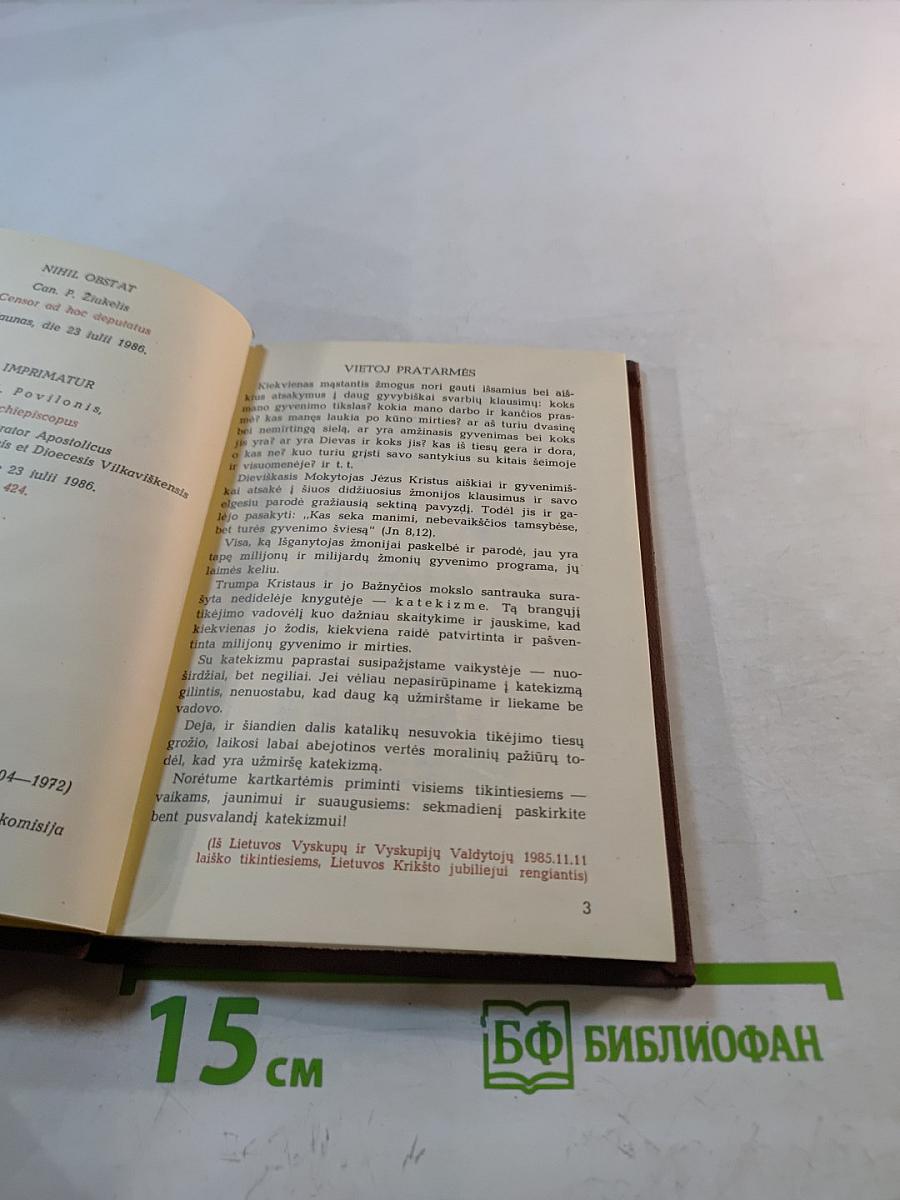 Musų tikėjimo šviesa: Trumpas katekizmas katalikų šeimoms