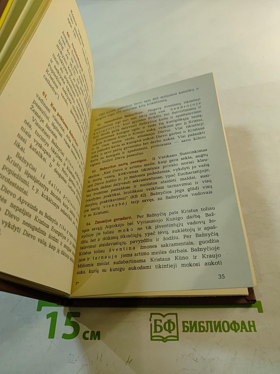 Musų tikėjimo šviesa: Trumpas katekizmas katalikų šeimoms