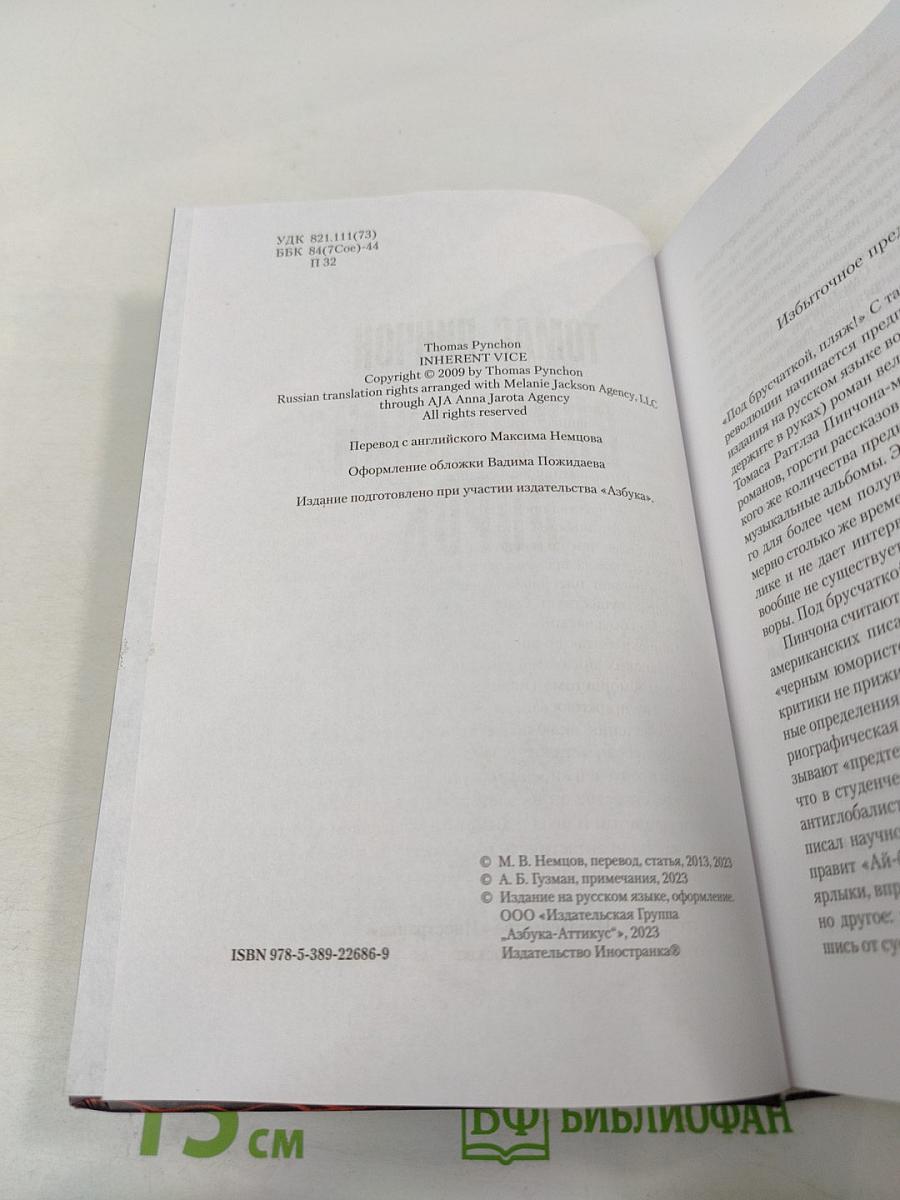 Внутренний порок