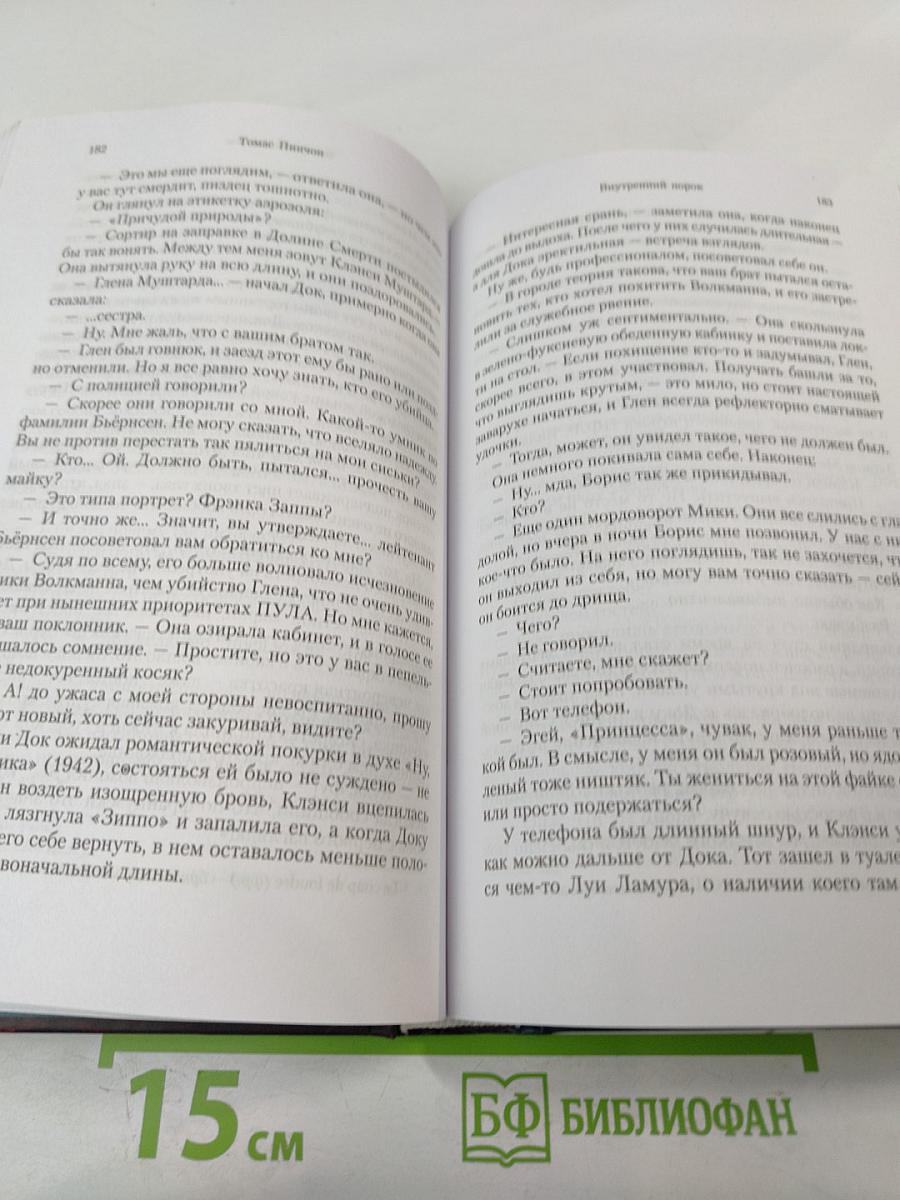 Внутренний порок