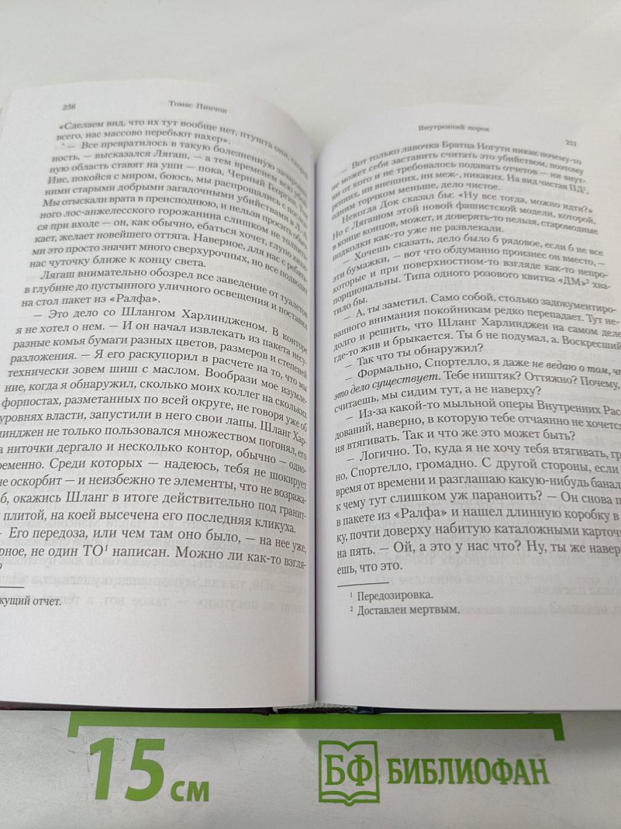 Внутренний порок