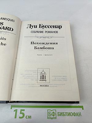 Похождения Бамбоша