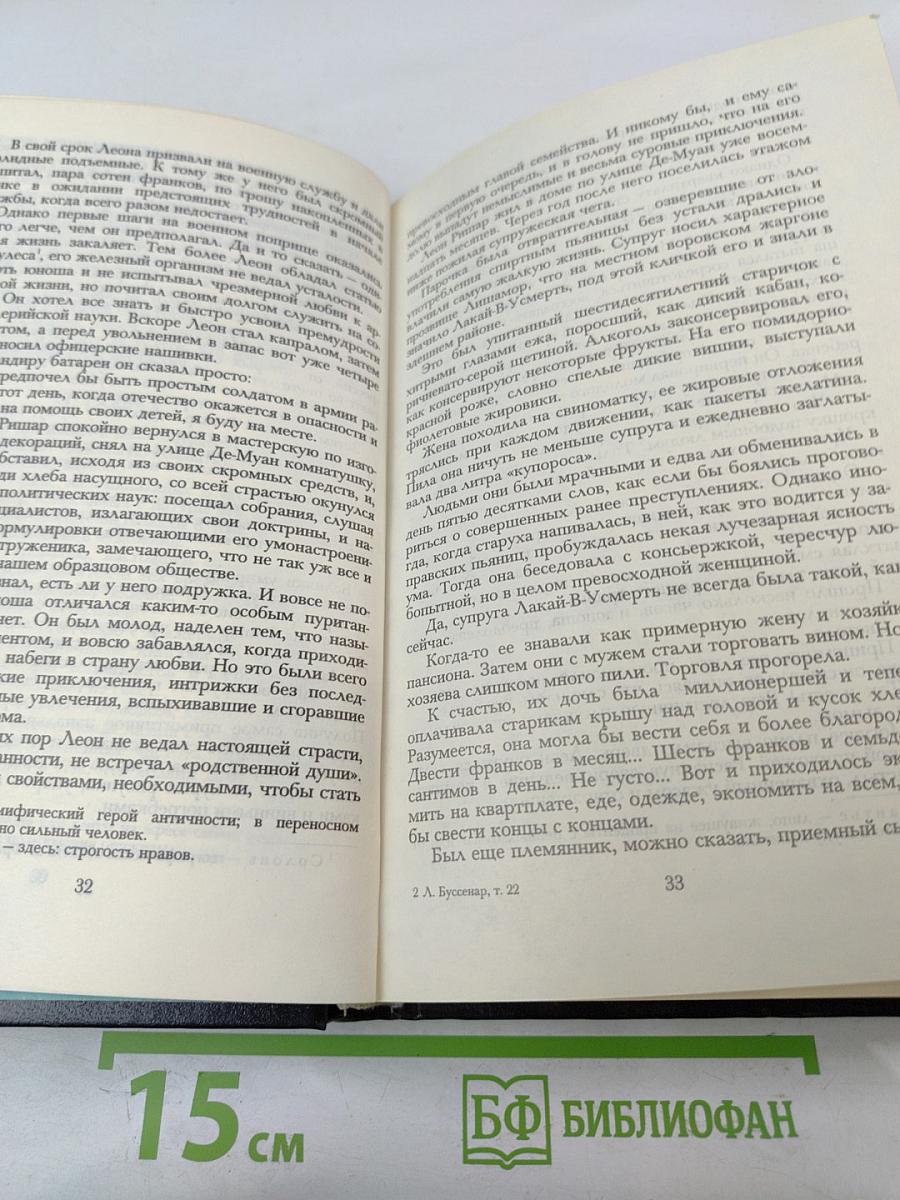 Похождения Бамбоша