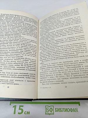 Похождения Бамбоша