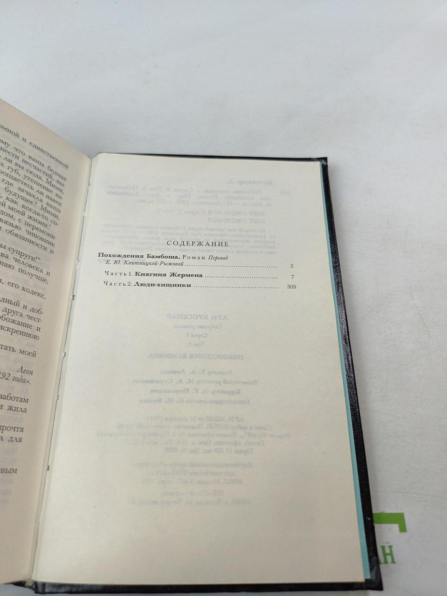 Похождения Бамбоша