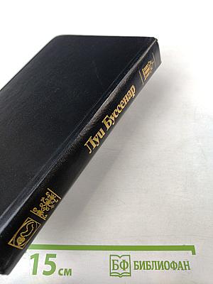 Похождения Бамбоша